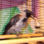 DSCN0896